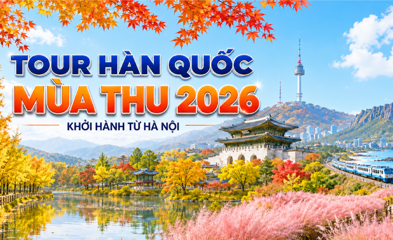 TOUR HÀN QUỐC MÙA THU 2026 KHỞI HÀNH TỪ HÀ NỘI
