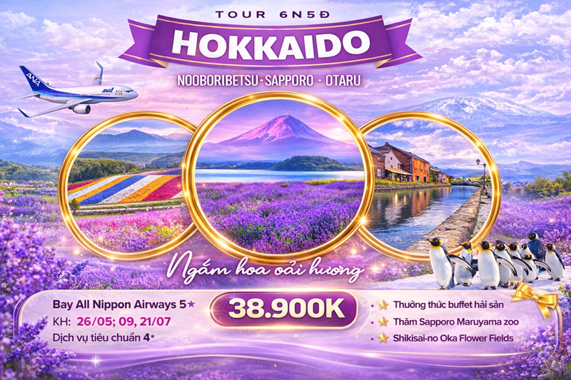 TOUR 6N5Đ HOKKAIDO MÙA HÈ 2026 BAY ANA