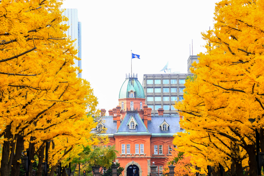 TOUR 6N5Đ NHẬT BẢN MÙA THU: HOKKAIDO - ASAHIKAWA - SAPPORO - NOBORIBETSU