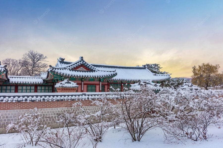 TOUR 6N5D HÀN QUỐC MÙA ĐÔNG: BUSAN - SEOUL - TRƯỢT TUYẾT