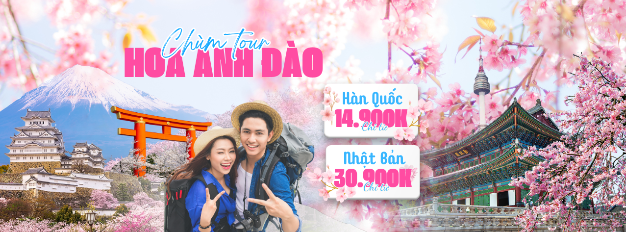 Hàn Nhật hoa anh đào